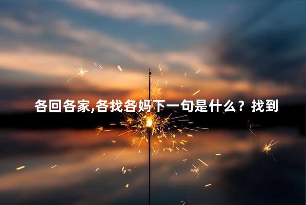 各回各家,各找各妈下一句是什么？找到自己的路 分不同寻常